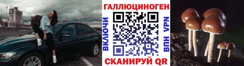 Галлюциногенные грибы Cubensis  Городовиковск 